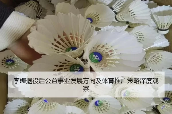 李娜退役后公益事业发展方向及体育推广策略深度观察