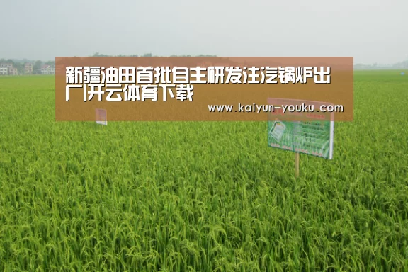 开云体育下载